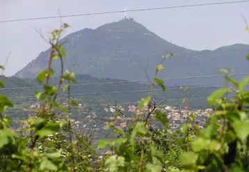 Des maturités comparables à celles de 2005