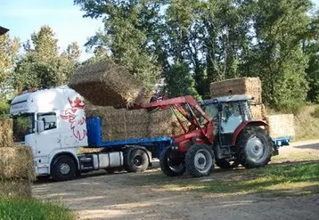 En période de récolte des céréales d’automne, la paille pourrait manquer