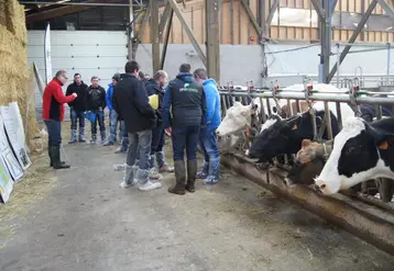 Les éleveurs ont participé à quatre ateliers techniques entourés des Prim’Holstein et des Jersiaises du GAEC de la Ferme du Clos à Cournols.