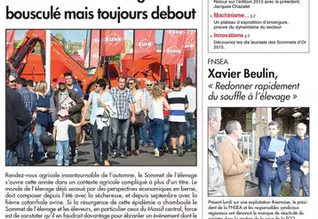 Quotidien_mercredi