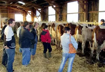 Les éleveurs du groupe lait du Vernet-la-Varenne, visualisent l’effet vêlage 2 ans, demandent nombre d'explications à Patrice Faucher de Sauxillanges.