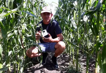 Alexandre Bresson, agriculteur à Entraigues utilise les trichogrammes contre la pyrale du maïs depuis 20 ans.