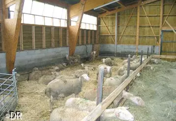 Pour plus d’informations, contacter la Fdo du Puy-de-Dôme au 04.73.44.46.90.