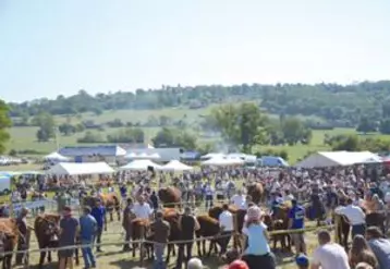 Un foirail toujours plein, de très nombreux stands bien agencés sur le site avec une organisation de la circulation au top. L’aligot, la fourme d’Ambert  et la salers à la broche on fait recette : plus de 1200 couverts et une mise en appétit qui a duré plus d’une heure durant la queue que le public a du faire pour se mettre à table mais dans d’excellentes conditions d’accueil.