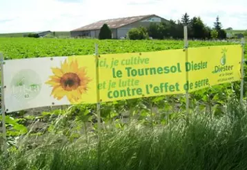 Au bord des routes de la Limagne, les banderoles rappellent au grand public le rôle indispensable de l’agriculture