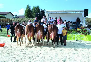 Concours bovins Vallée de l'Ance