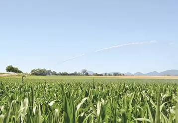 L'irrigation des cultures est soumise à l'application de tours d'eau dans certains secteurs tels que l'Eau-Mère et l'Ambène.