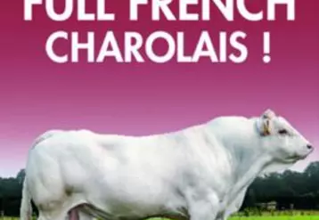 La bannière «Full French Charolais» est le support de commercialisation mis en place par SERSIA France