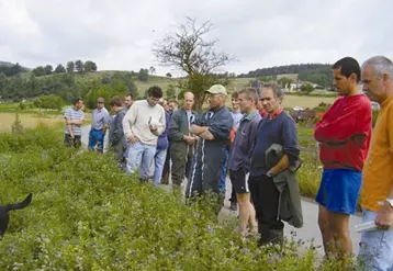 Gaec du Puy Rayat  à Manglieu. M. Chouvy : "la luzerne il faut s'en occuper comme une jeune mariée".