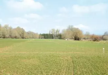 L’essai céréales en cours à Arlanc.