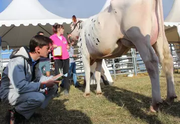 Le Trophée des Massifs rassemble une centaine d’étudiants de la région Auvergne-Rhône-Alpes.