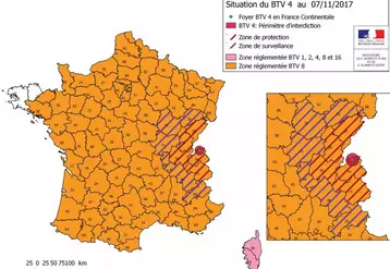 C’est le premier cas de sérotype 4 détecté en France continentale (en Corse, on compte actuellement 193 foyers de sérotype 4). Le sérotype 8 est en revanche largement présent en France continentale depuis 2015. Conformément à la réglementation de l’UE, des zones de restriction, protection et surveillance sont mises en place (respectivement, 20, 100 et 150 km autour du foyer)