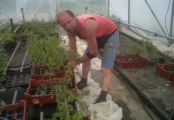 Filip Claes est maraîcher en agriculture biologique à Chambonchard.