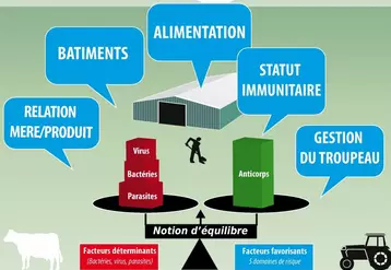 L’état sanitaire d’un troupeau repose sur l’équilibre entre les capacités de défense des animaux et la pression microbienne. Un problème sanitaire dans un élevage est la conséquence d’un déséquilibre. L’objectif est déterminer les facteurs favorisants propres à l’élevage et les corriger.