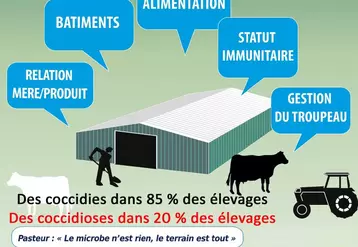 Les coccidies sont présentes dans 85 % des élevages avec des coccidioses dans seulement 20 %, d’où l’intérêt d’identifier les facteurs de risques présents au sein de votre troupeau qui favorisent la dynamique de contamination (augmentation de la pression infectieuse) et limitent le niveau de défenses immunitaires.