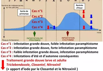 La stratégie de traitement prend en compte :
Le cycle du parasite, les pics d’infestation et leurs niveaux.
Les risques zootechnique et clinique que cela engendre au sein de son élevage.