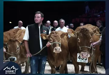 Mathieu Thérond est éleveur de vaches Limousines dans le Cantal. Il a été choisi pour figurer sur l'affiche 2023 du Sommet de l'Elevage en compagnie de Ralph, l'un de ses taureaux.