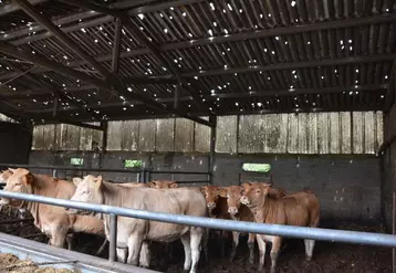 Dégâts d'orage de grêle sur un bâtiment d'élevage en Creuse.