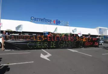 Devant le magasin Carrefour de Lormont (33)