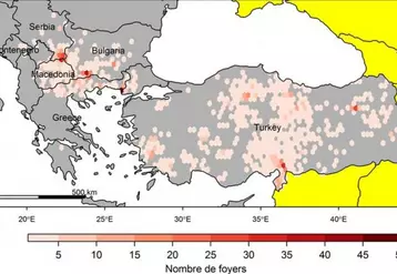 La DNCB a été détectée pour la première fois en Turquie en novembre 2013. Elle s’est ensuite étendue à l’Europe : dans la partie européenne de la Turquie en mai 2015, puis dans les Balkans. Au 31 juillet 2016, elle touchait la Grèce, la Bulgarie, la Macédoine, le Monténégro, l’Albanie et la Serbie, avec 747 foyers notifiés (source base de données européenne Animal Disease Notification System (ADNS)).