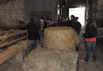 Les collégiens ont visité par petits groupes les différents ateliers proposés par le lycée agricole d’Ahun.