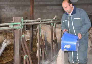 Nicolas Perret est agriculteur en polyculture-élevage à Brugeas dans l'Allier.