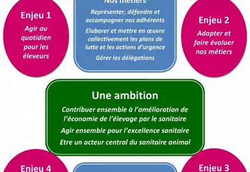 La journée nationale « Projet stratégique du réseau des GDS » du 11 décembre a marqué le lancement du projet stratégique du réseau des GDS. Les travaux menés depuis février 2013 avec l’ensemble du réseau ont permis de redéfinir notre ambition, de rappeler nos métiers appuyés sur nos valeurs et d’axer ce projet autour de 4 enjeux.