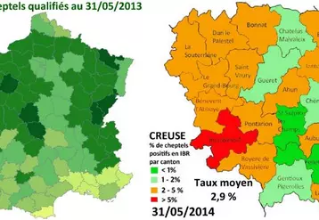 En France, au 31 mai 2013, 64,5 % des cheptels bénéficiaient d’une appellation IBR. La Creuse fait partie des dix départements avec plus de 90 % de cheptels certifiés. Trois cantons creusois sont passés au dessous du seuil de 1 % de cheptels positifs.