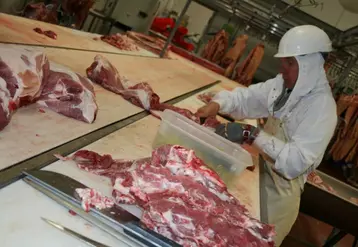 Dans le Massif central, la production porcine est un important pourvoyeur d’activité pour les abattoirs.