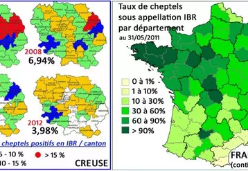 En France, au 31 mai 2011, 60% des cheptels bénéficiaient d’une appellation IBR, 8,7% des cheptels présentaient au moins un animal séropositif. Une grande variabilité est observée suivant les départements.
En Creuse, pour 2011/2012, 2976 cheptels (93,78%) ont été dépistés négatifs et 2908 cheptels (95,23%) sont sous appellation, soit une progression de 1% par rapport à la campagne précédente. Parallèlement, le pourcentage de cheptels positifs recule, passant en dessous ...