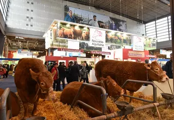 Un des stands de la Région Nouvelle-Aquitaine au Salon de l'Agriculture 2018.