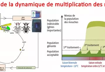 Associant moyens insecticides, biologiques et mécaniques, un contrôle réussi de la dynamique de contamination par les mouches demande le respect des points clés suivants :
- Être vigilant sur la propreté des bâtiments et abords.
- Intervenir tôt dès l’apparition des premières mouches avec des larvicides ou des auxiliaires de lutte biologique.
- Mettre en place la lutte dans tous les locaux avant infestation.
- Utiliser des produits homologués avec un respect strict ...