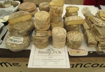 Rendez-vous le dimanche 20 avril à Craponne.