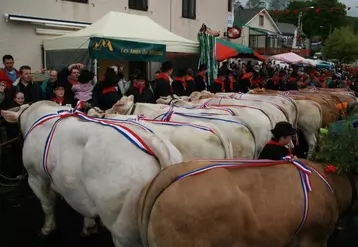 La Fête du Fin Gras du Mézenc, un bon moment de rassemblement convivial autour des animaux et des éleveurs du secteur. (Photo : au lac d'Issarlès en Ardèche, en 2013).