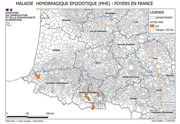 maladie hémorragique épizootique (MHE) : Foyers en France