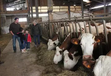 S’ils étaient peu nombreux, les visiteurs courageux ont échanger longuement avec les agriculteurs toujours prêts à parler de leur métier et de leurs produits.