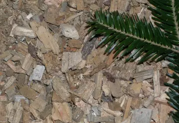 Une sous-couche de 10 cm de plaquettes bois sur laquelle on rajoute de la paille
semble être une solution intéressante.