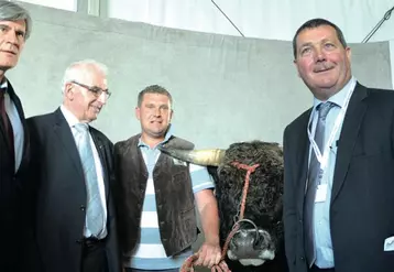Stéphane Le Foll est allé à la rencontre des éleveurs, notamment ceux de la race aubrac, en concours national, cette année au Sommet.