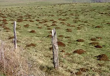 Des secteurs affectés : Yssingeaux, Vorey/Arzon, Monistrol/Loire, St-Didier en Velay.