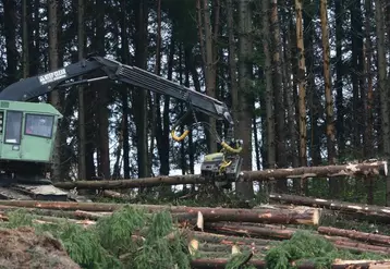 Les professionnels du bois attendent des mesures structurelles afin de permettre aux scieries françaises de pouvoir travailler le bois français.
