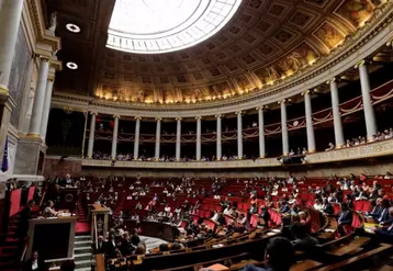 Les sénateurs ne digèrent pas l’ingérence de l’exécutif dans la navette parlementaire.