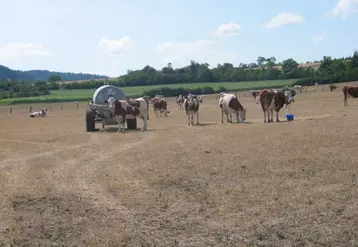 Lé déficit pluviométrique des 6 derniers mois se fait sentir.