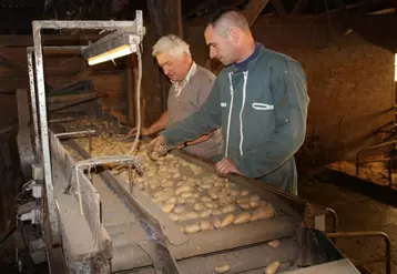 Christophe et Eugène Aubert au travail sur la trieuse-calibreuse. Cette année, l’humidité et le manque de chaleur ont induit une baisse de rendement évalué à -50% sur l’EARL.