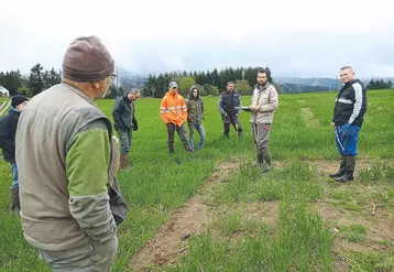 Visite d'essais céréales en montagne à Celles-sur-Durolle (63)