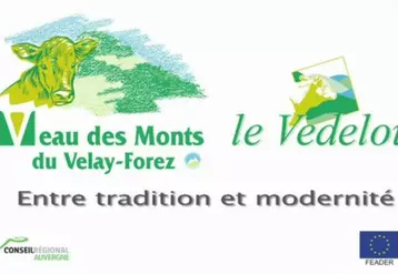 Veau des Monts du Velay-Forez, Le Vedelou