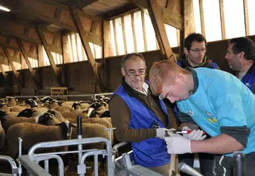 Jugés par des techniciens et des éleveurs professionnels, les candidats ont réalisé deux épreuves écrites et cinq épreuves pratiques.