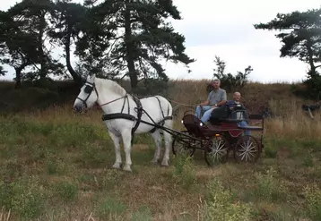 Le président Léon Richaud et le président fondateur Gérard Queyrat avec le Percheron Indien tirant une voiture «Marathon».