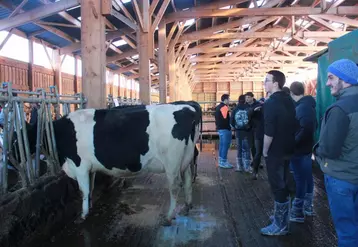 Après les épreuves, le jury a dévoilé son classement mettant en lumière les points forts et les points faibles de chaque animal.