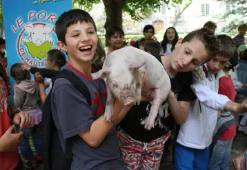 Quel bonheur de caresser un porcelet…