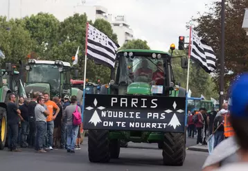 Les 3 (à Paris) et 7 septembre (à Bruxelles), les agriculteurs en détresse se sont mobilisés en force.